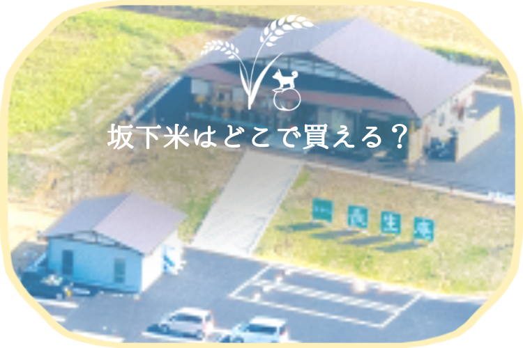 ながら太陽ファーム 千葉県長柄町高山 水上第2営農組合 坂下米|コシヒカリ|粒すけ|フサコガネ