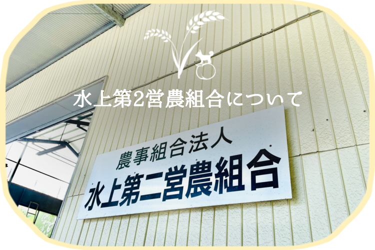 千葉県長柄町高山 水上第2営農組合概要 坂下米|コシヒカリ|粒すけ|フサコガネ