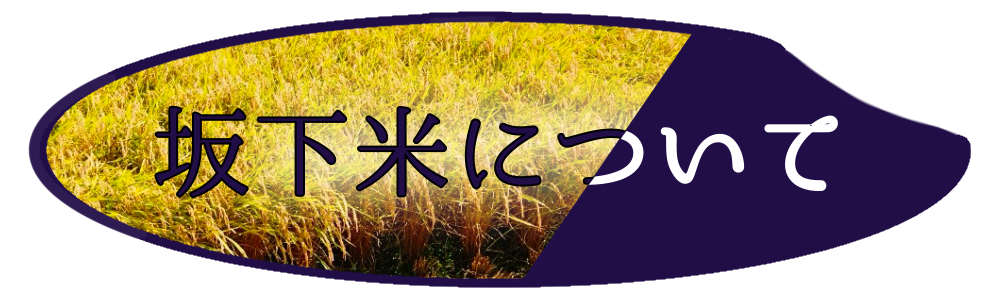 坂下米について 千葉県長柄町水上第2営農組合 坂下米|コシヒカリ|粒すけ|フサコガネ